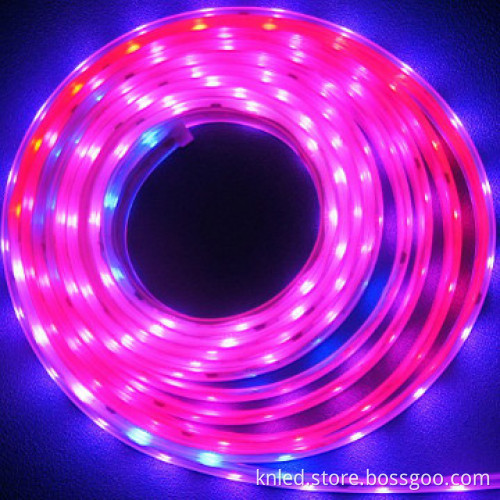 3528 SMD LED STRIP